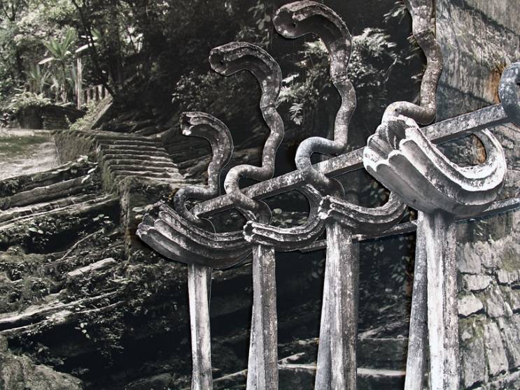 https://remote.mirunadragan.com/files/gimgs/th-6_IMG_2470_Xilitla_W.jpg