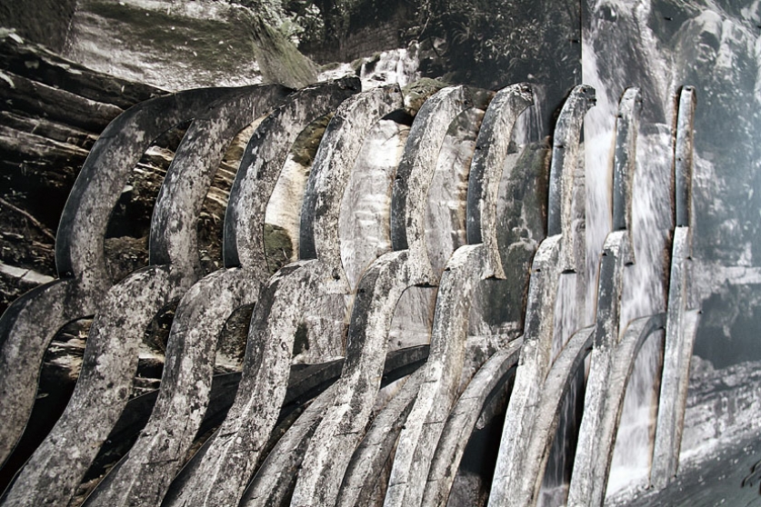 https://remote.mirunadragan.com/files/gimgs/th-6_IMG_2473_Xilitla_W.jpg