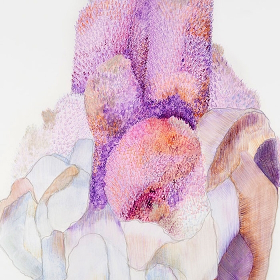 https://remote.mirunadragan.com/files/gimgs/th-23_Erratics-Draw3-detail-web_v2.jpg